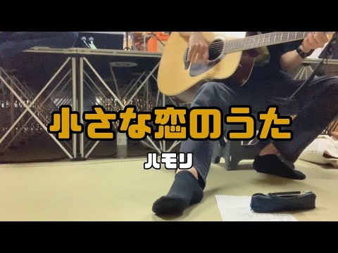 【ギター&ハモリ】小さな恋のうた ファーストテイク