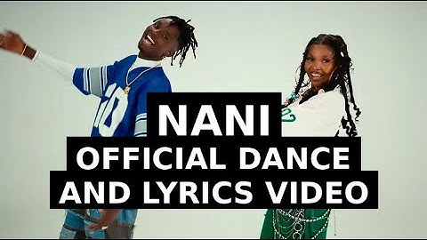 D voice feat Zuchu - Nani (Official Dance & Lyric Video)