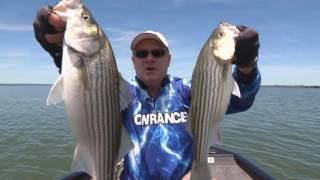 Elite Ti   Barry Stokes Uses Elite Ti to find Fish in Brush mp4 15161