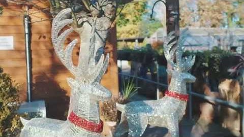 Advent Calendar, Window V, Santa and his Reindeer