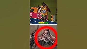 Usain Bolt vs Fastest Animals 🤯🥶 #shorts