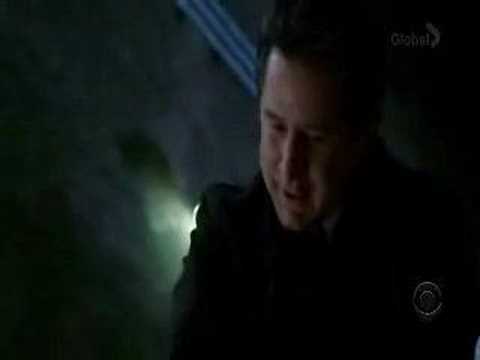 anthony lapaglia without a trace