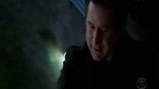 anthony lapaglia without a trace