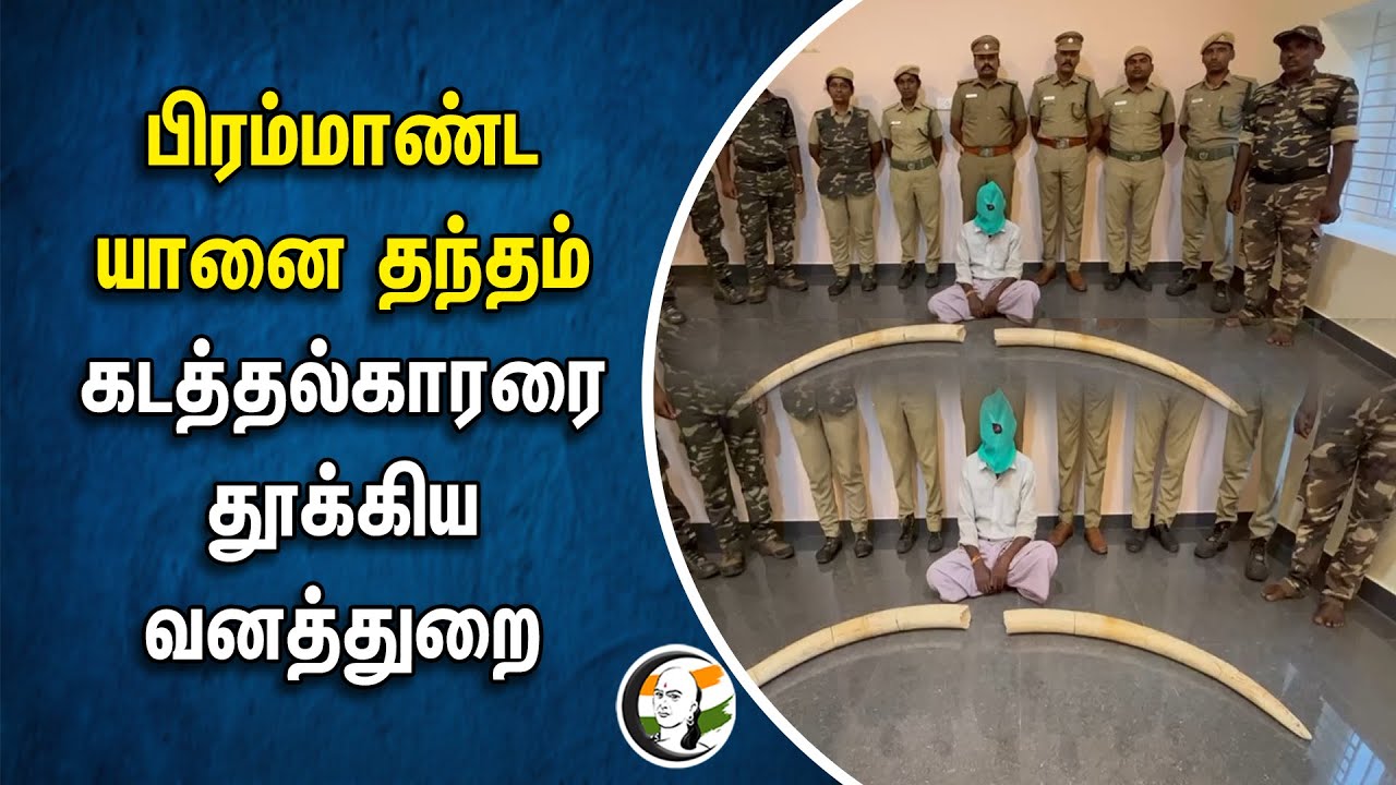 பிரம்மாண்ட யானை தந்தம்... கடத்தல்காரரை தூக்கிய வனத்துறை | Elephant Ivory | Erode | Forest Department