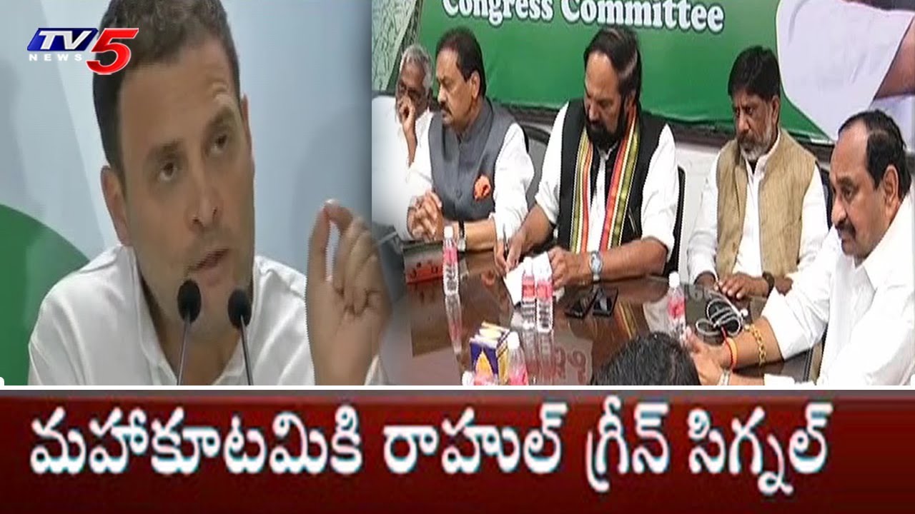 Rahul Gandhi Suggestions to Telangana Congress Leaders On Early Elections | TV5 News