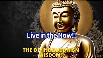 Are You Truly Living and Feeling the Now? Discover the Power of Living in the Present Moment!