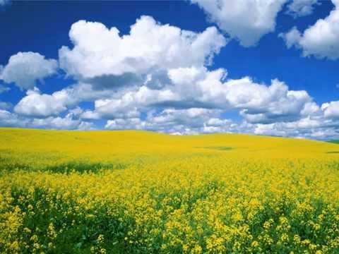 Sarah Brightman - The War is Over (Instrumental)