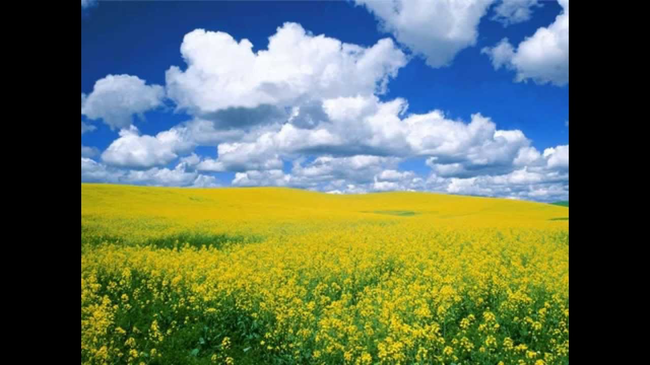 Sarah Brightman - The War is Over (Instrumental)