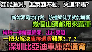 Subsidies stopped and sales plummeted; BYD's Shenzhen garage burned all night! Overcapacity leads...