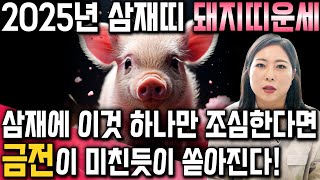 미리보는 2025년 삼재띠 돼지띠운세/ 돼지띠운세 오히려 복삼재로 들어와 금전,재물운 대박난다?! / 95년…