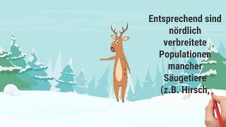 Spektrum Erklärt Bergmannsche Regel