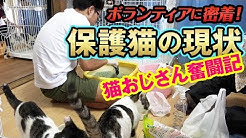 ふうちゃんらいちゃんねる Youtube