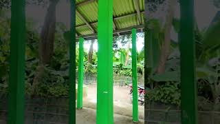 গরম পডশনর পরবশ কমন? কন শহরর তলনয গরম মধব বশ হয