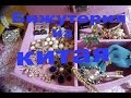 ОЧЕНЬ КРУТАЯ!!! Бижутерия из Китая. Посылки с сайта AliExpress