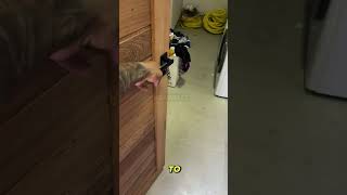 Blocked By Bad Design