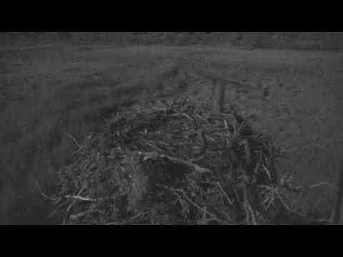 camera iphone 8 plus apk Cape Cod Museum of Natural History Live Stream