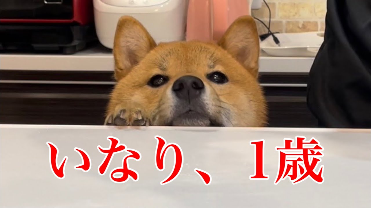 1歳の誕生日を迎えたので、手作りおやつでお祝いしました。