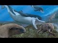 When Whales Ate Sloths