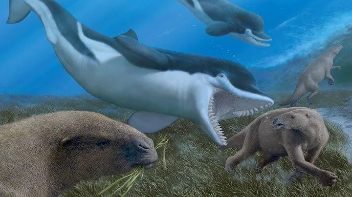 When Whales Ate Sloths