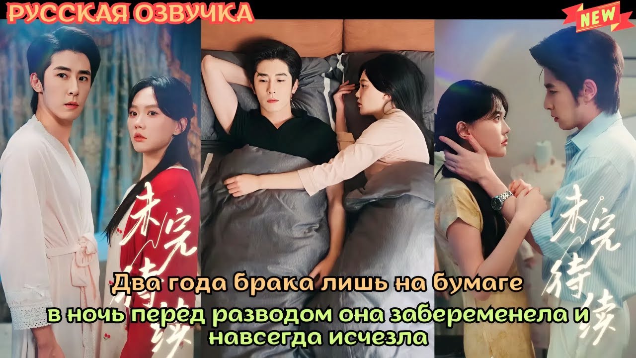 Два года брака лишь на бумаге в ночь перед разводом она забеременела и навсегда исчезла