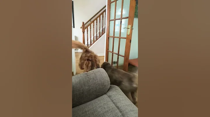 Just checking in to say hi…