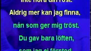 Du gav bara löften (karaoke) chords