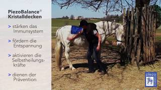 Piezobalance Kristall Decken Für Pferde, Harmonie Und Gesundheit, Dr. Sabine Barth-Höfner