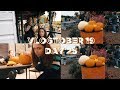 VLOGTOBER 2019 #25: MORE HOUSE PLANS + PUMPKIN CARVING | sunbeamsjess