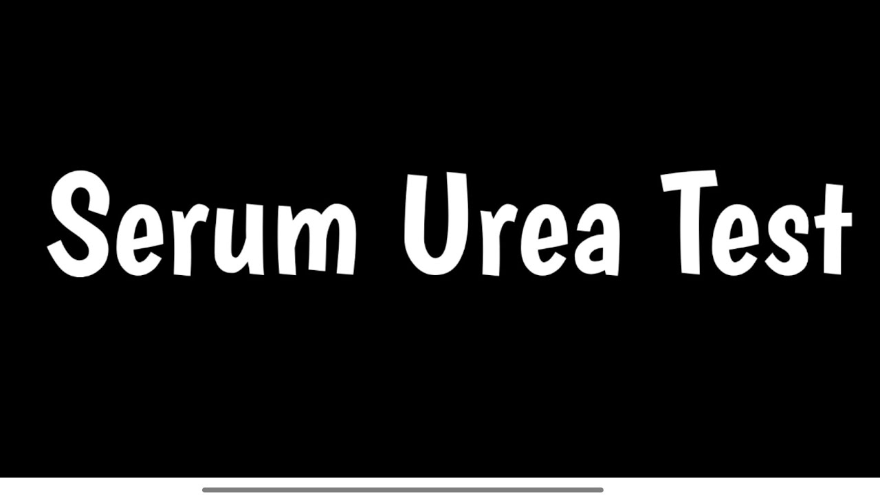 Urea Serum Blood Test