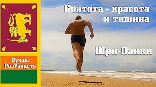 Бентота - тут красиво и безмятежно. Путешествие на Шри-Ланку. ЛучшеРазУвидеть