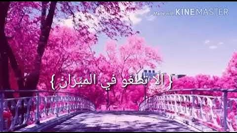 عشرة ايات سورة الرحمن بصوت يوسف ابكر