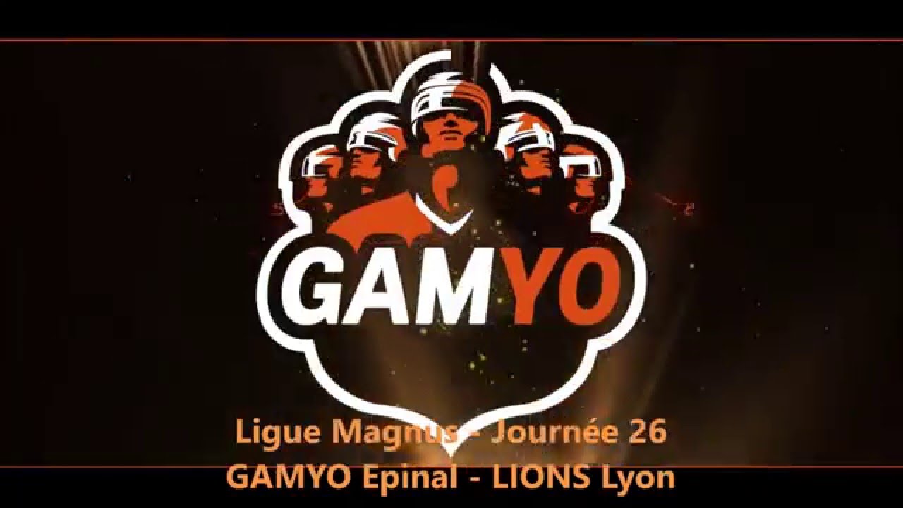 Résumé - Epinal / Lyon - 06/02/2016