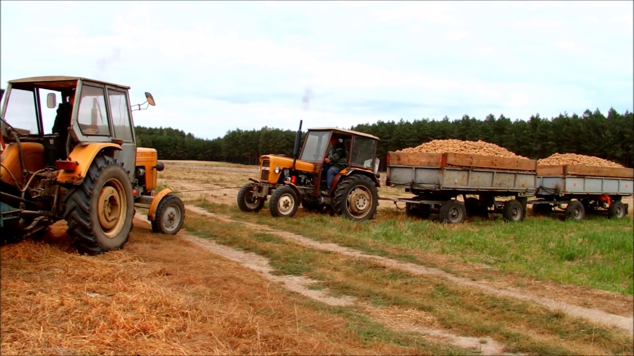 Ursus c330 polny tyran