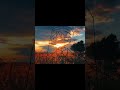 luvslou!, N3yron - after rain (тгк:n3yron1) #dnb #jungle #atmosphericdnb #atmosphere #music