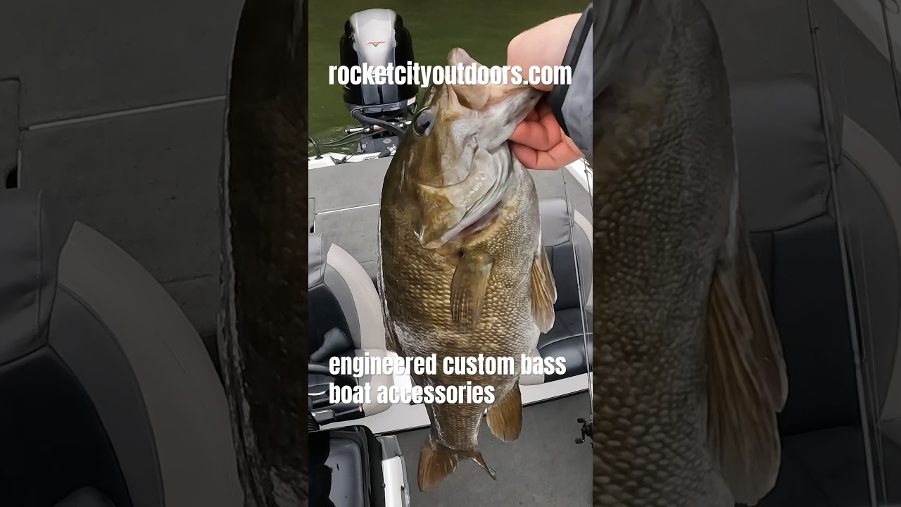 Wheeler Lake 5 lb Smallmouth 