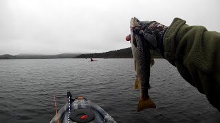 Rainy Day For Fishing