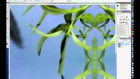 Image Cloning for a Gallery Wrapped Canvas Print