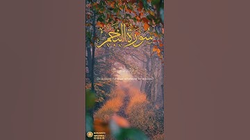 سورة النجم آية ٢٤-٢٥ | ﴿ أم للإنسان ما تمنى ﴾ | Surah An Najm Ayah 24-25