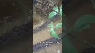 Allahin Hikmetinden Sual Olunmaz.