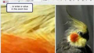 Resize Image With Reshade - Zoom Control