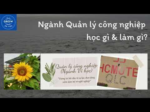 Outline Video Ngành Quản lý công nghiệp học gì và làm gì?