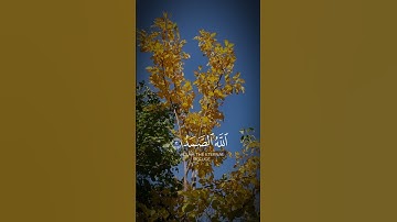 "قل هو الله احد."فقط همین کافی است تا دلت آرام بگیرد. او تنها تکیه‌گاه حقیقی است.#سوره_اخلاص