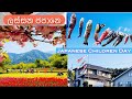 Japanese Children's Day KOINOBORI ජපානයේ ළමා දිනයේ සමරන කොයි නොබොරි こいのぼり￼
