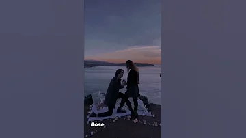 خلينا كده علي طول ماشيين اه ما رمنا الهوا ونعسنا والي شبكنا يخلصنا عبد الحليم حالات واتس اب 