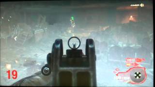 Call of Duty Black Ops Zombie Dogs Glitch
