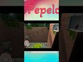 Pepelo Level 20 #shorts #pepelo #couples