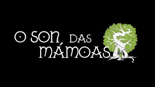 III O Son das Mámoas 2013 Reportaxe