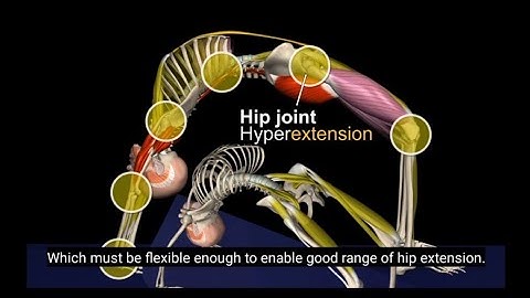 Upward Bow Pose (Urdhva Dhanurasana) | Common Mistakes & How to Fix Them 🧘‍♀️💥