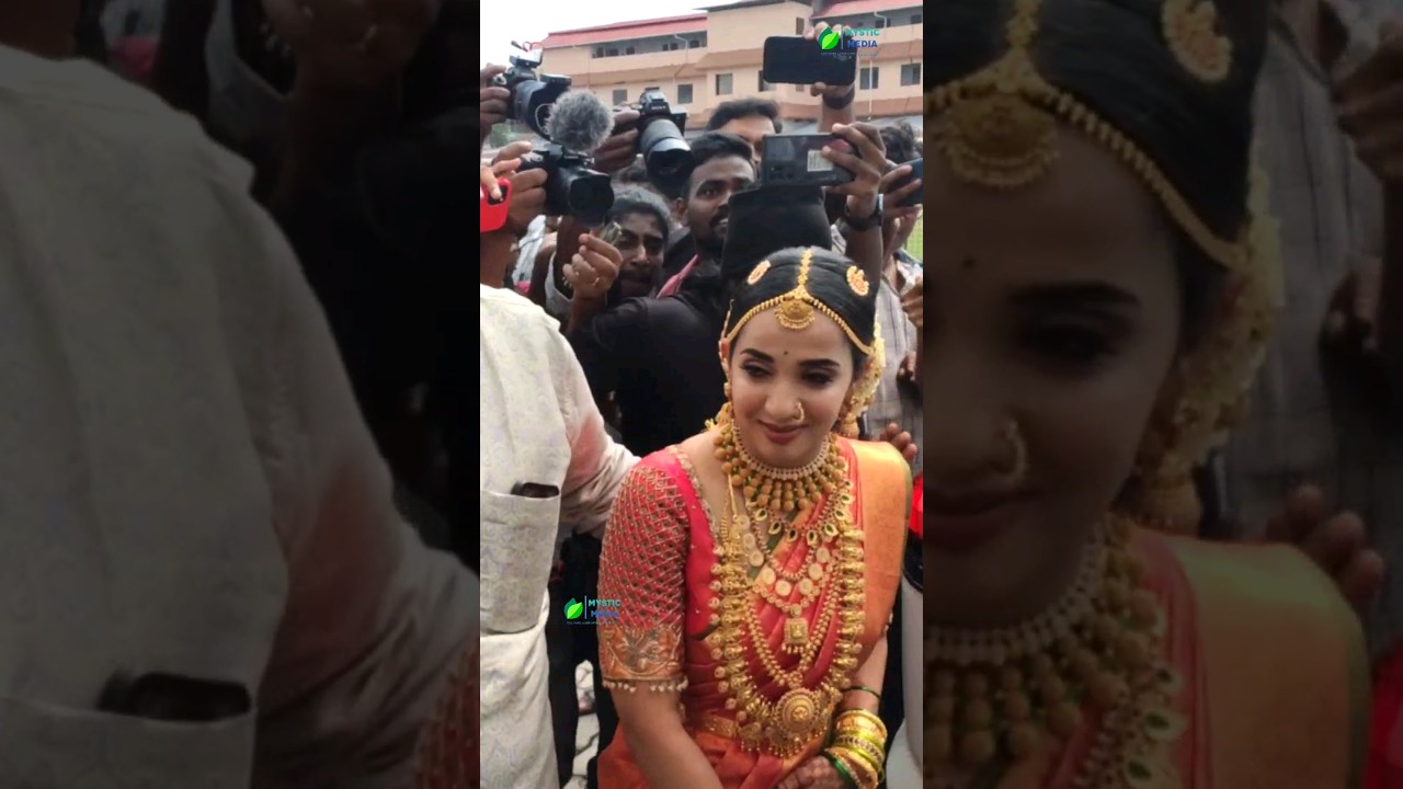 മാളവിക കൃഷ്ണദാസ് വിവാഹിതയായി Malavika krishnadas weds Thejus 