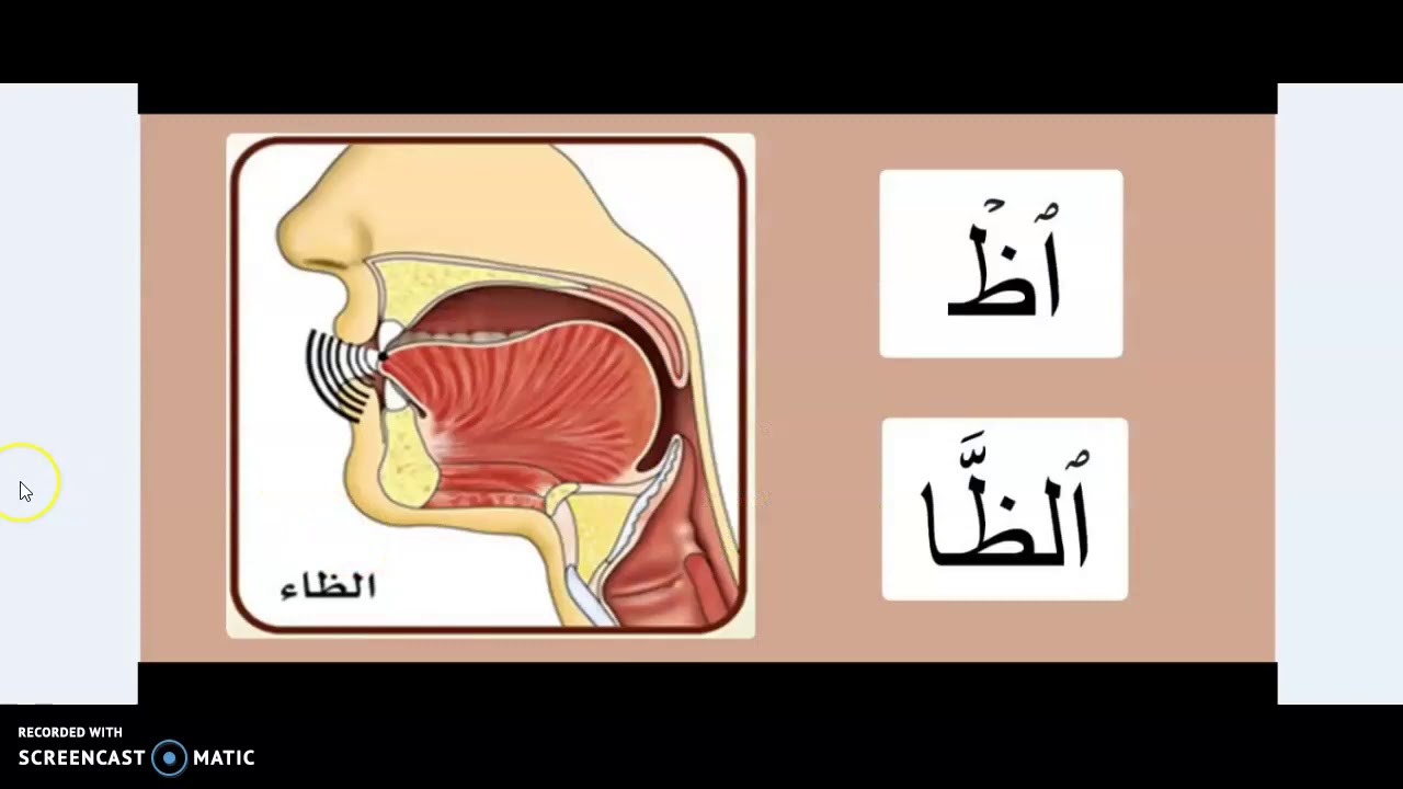 How to pronounce and write ط ظ arabic alphabet - YouTube